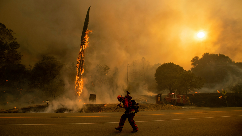 An inmate firefighter working on July 27th in Shasta, California.